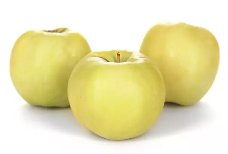 jablka k léčbě křečových žil