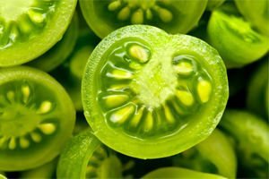 léčba křečové žíly zelenými rajčaty