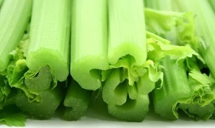 léčba křečových žil s celerem